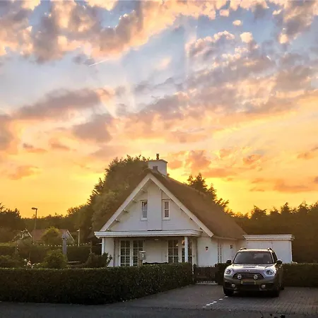 Golden Wellness 빌라 *