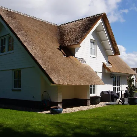 Golden Wellness Villa